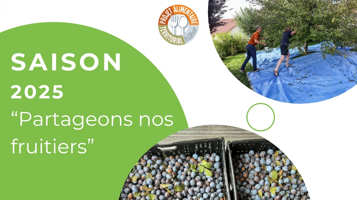 Partageons nos fruitiers