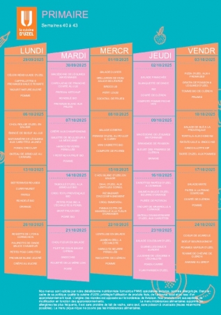 Menus standard S40 à 43